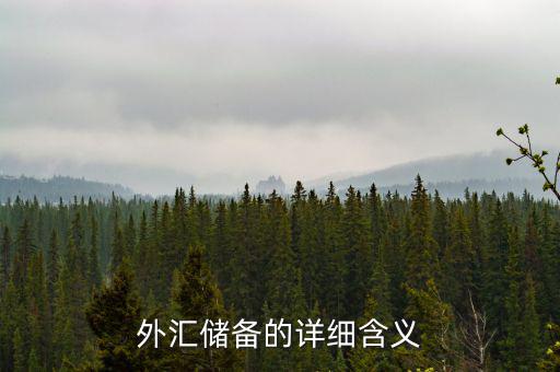 外匯儲備包括什么，外匯儲備指什么是用黃金或紙幣來儲備