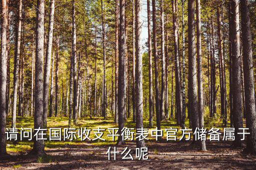 官方儲備資產(chǎn)包括什么，官方儲備資產(chǎn)包括固定資產(chǎn)嗎