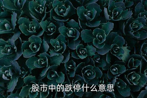 跌停是什么意思，跌停是什么意思