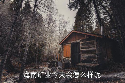 海南礦業(yè)在什么時(shí)候上市，說(shuō)說(shuō)海南礦業(yè)今天還會(huì)繼續(xù)大漲嗎