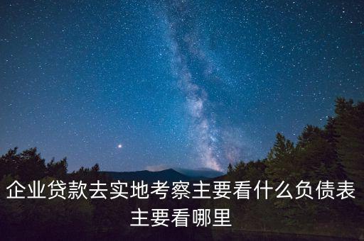貸款實地考察做些什么，企業(yè)貸款去實地考察主要看什么負債表主要看哪里