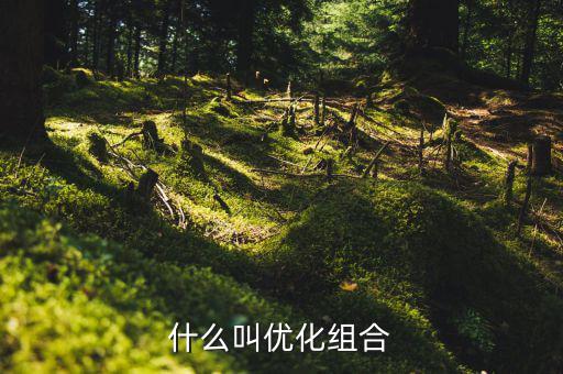 優(yōu)化重組是什么書，什么叫優(yōu)化組合