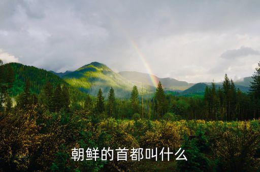朝鮮總統(tǒng)府叫什么，朝鮮元首有專門(mén)的住所嗎有的話在哪