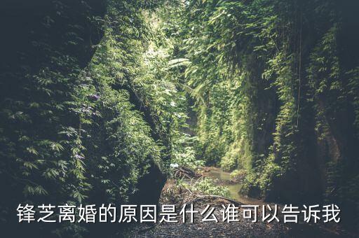 胡芝容為什么離婚，鋒芝戀離婚原因是為什么