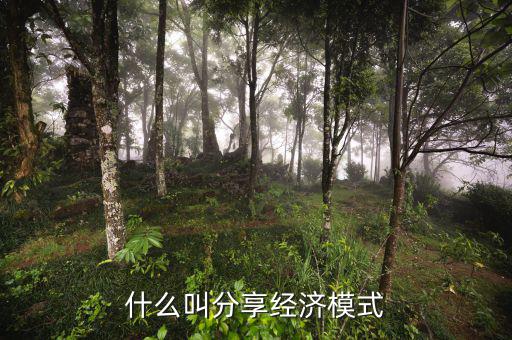 什么是分享經(jīng)濟，通俗講什么是分享經(jīng)濟
