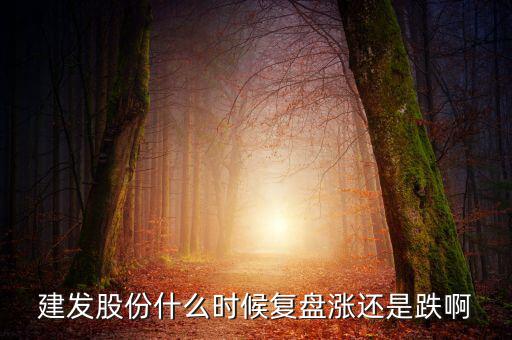 002719股什么時(shí)候復(fù)盤，000719什么時(shí)候復(fù)牌啊