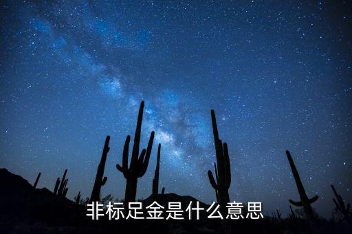 什么是金融非標產(chǎn)品，什么叫非標融資