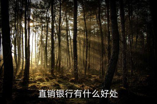 浦發(fā)直銷(xiāo)銀行能干什么，銀行直銷(xiāo)部是做什么的