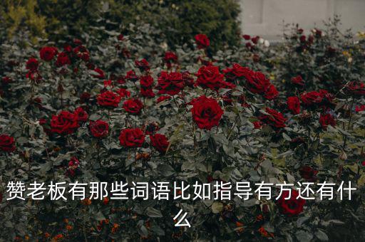 什么成語(yǔ)能夠形容房地產(chǎn)老板，贊老板有那些詞語(yǔ)比如指導(dǎo)有方還有什么