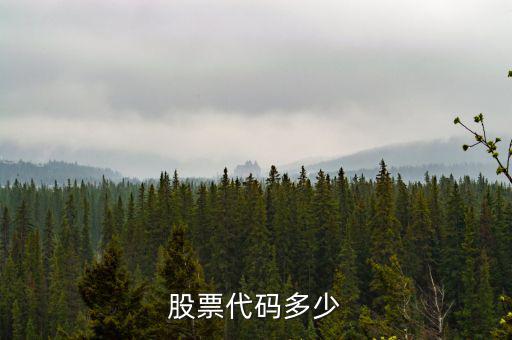 b股代碼以什么開頭，a股和b股代碼怎樣區(qū)分