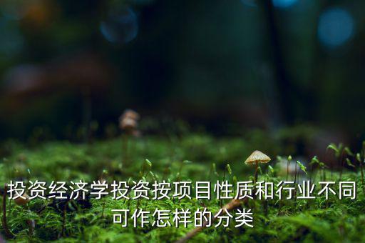 什么是公共消費(fèi)性投資，如何理解消費(fèi)投資