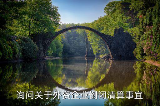 沈陽(yáng)投資公司跑路市政府什么解決，詢問(wèn)關(guān)于外資企業(yè)倒閉清算事宜