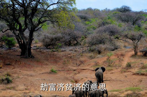 劫貧濟富是什么意思，劫富濟貧濟的意思