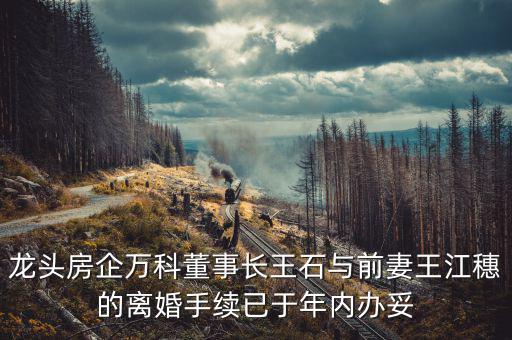 王石什么時(shí)候離婚的，龍頭房企萬科董事長王石與前妻王江穗的離婚手續(xù)已于年內(nèi)辦妥