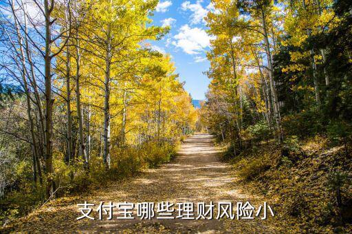 什么寶風險小，支付寶哪些理財風險小