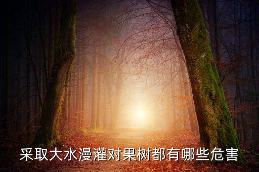 廣西地區(qū)大水漫灌導致什么，在干旱半干旱地區(qū)采取大水漫灌的灌溉方式可能會導致土地鹽漬化