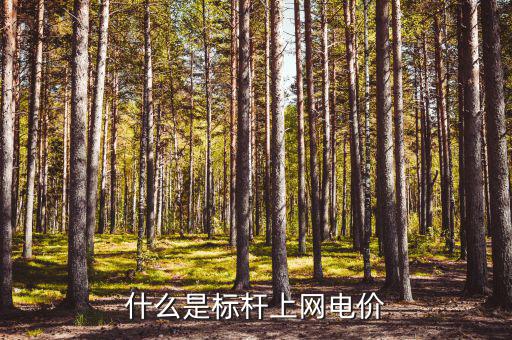 什么是標(biāo)桿電價(jià)，什么是標(biāo)桿上網(wǎng)電價(jià)