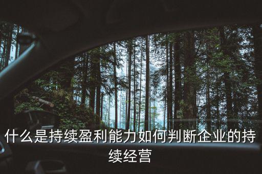 什么是持續(xù)盈利能力，什么是具備持續(xù)贏利能力的行業(yè)