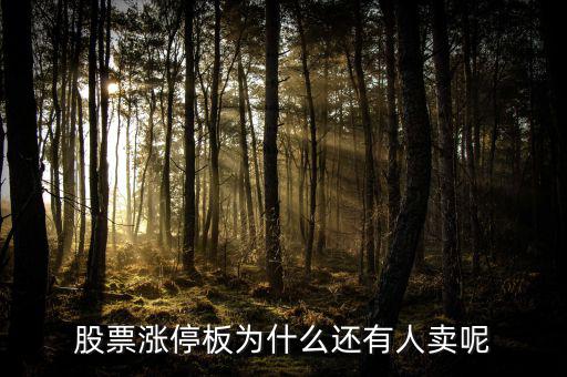 為什么已經(jīng)漲停的股票那么多人買，當(dāng)天漲停的股票為什么還有那么多人買入跟進(jìn)呢