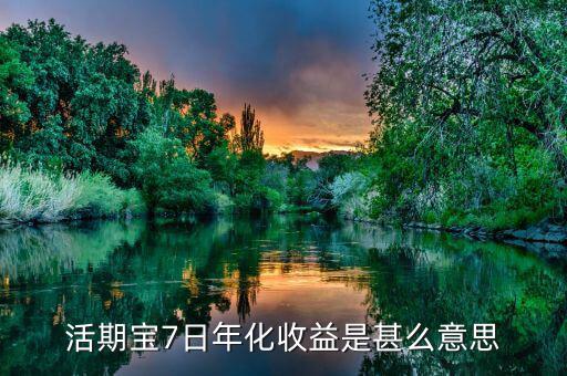 活期寶七日年化是什么意思，活期寶7日年化收益是甚么意思