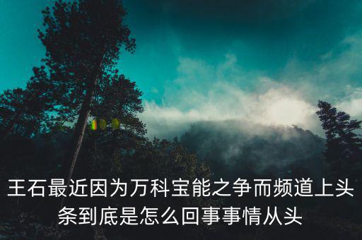 王石現(xiàn)在忙什么，王石現(xiàn)在在干什么