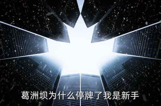 葛洲壩為什么停牌，葛洲壩為什么8月21日停牌