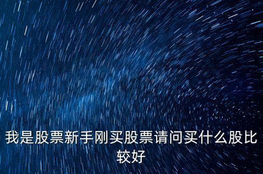 新手買什么股票好，我是股票新手剛買股票請問買什么股比較好