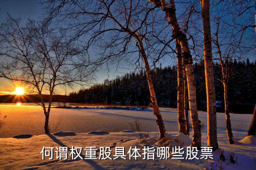 什么叫權(quán)重股，權(quán)重股與小盤股的區(qū)別在那兒我想數(shù)下有多少權(quán)重股有多少小盤股