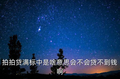 拍拍貨不滿標什么意思，拍拍貸滿標是什么意思
