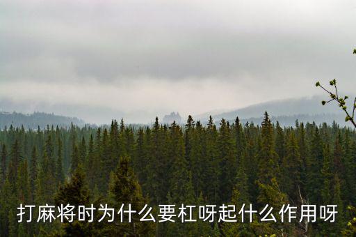 為什么要用杠桿，為什么有些杠桿要設計成費力的呢