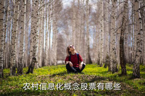 農(nóng)村富了什么股票，農(nóng)村信息化概念股票有哪些