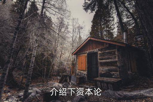 資本論是什么發(fā)表的，資本論 是馬克思寫(xiě)的不