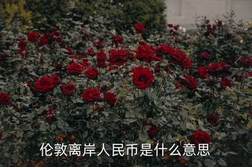 離岸人民幣是什么意思，在岸人民幣和離岸人民幣是什么意思