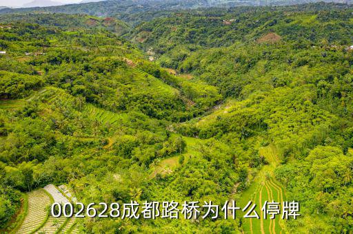 成都路橋今天什么情況，今天早成都等路橋的航班有沒有停航