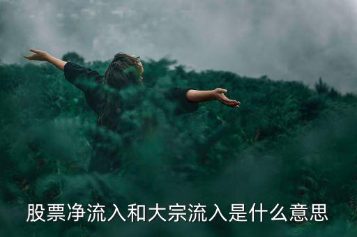 股票大宗流入是什么意思，股票凈流入額大宗流入什么意思