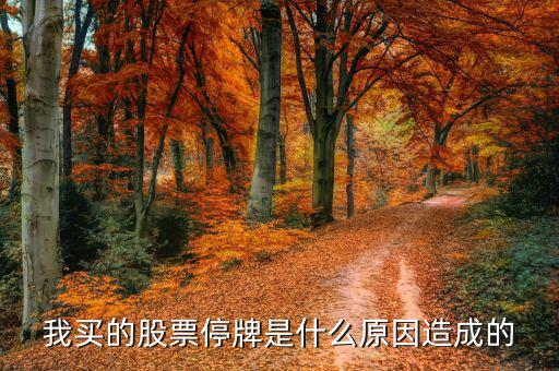 美達股份為什么停牌，我買的股票停牌是什么原因造成的