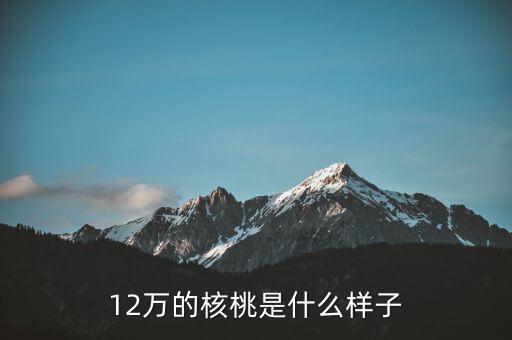 36萬核桃長什么樣，大家看這個核桃做的怎樣值多少