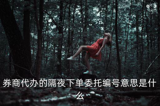 股票委托編號是什么意思，股票交易中委托編號208中208是什么意思