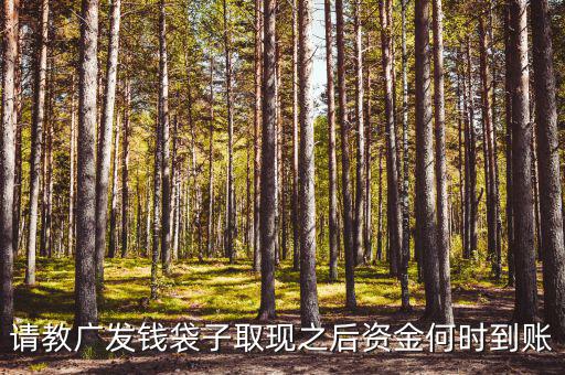廣發(fā)錢袋子墊資什么時候，廣發(fā)錢袋子前天周末為什么沒有收益今天周一收益還沒出來