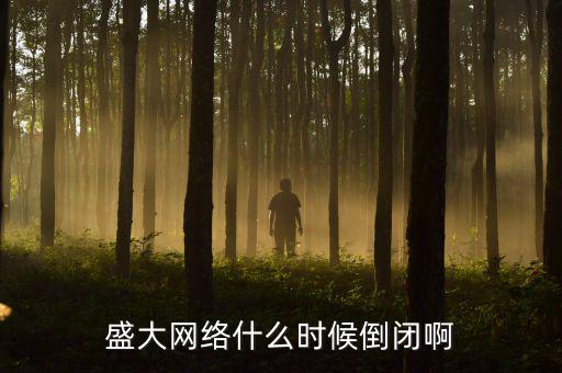 美國盛大游戲什么時間退市，盛大倒閉確切日期