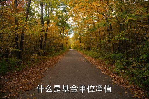 基金中什么是單位凈值，什么是基金單位凈值