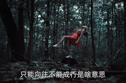 未能成行是什么意思，只能向往不能成行是啥意思