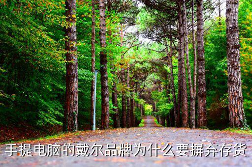 戴爾用信息代替庫(kù)存的后果是什么，我的筆記本電腦是DELL的前幾天買的人家二手貨他把系統(tǒng)的信
