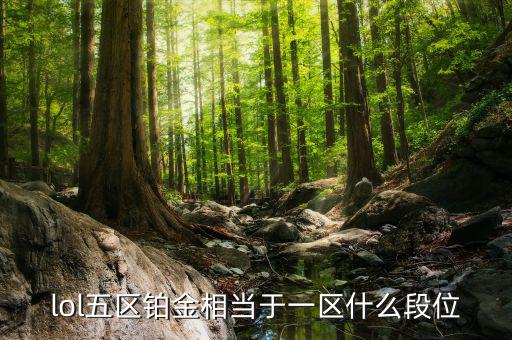 鉑金三什么水平，鉑金純度有幾個檔次