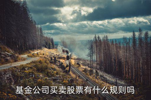 基金持有上市公司股票有什么限制嗎，基金公司買賣股票有什么規(guī)則嗎