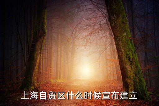 上海自貿區(qū)什么時候宣布建立