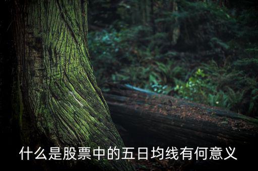 5日均線有什么用，什么是股票中的五日均線有何意義