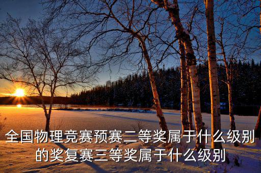 全國物理競賽預(yù)賽二等獎(jiǎng)屬于什么級(jí)別的獎(jiǎng)復(fù)賽三等獎(jiǎng)屬于什么級(jí)別