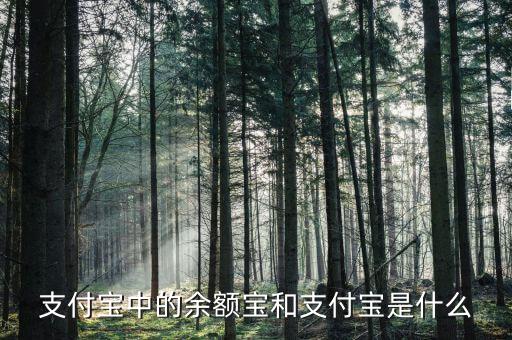 余額寶和支付寶是什么意思，支付寶里的余額寶是什么意思