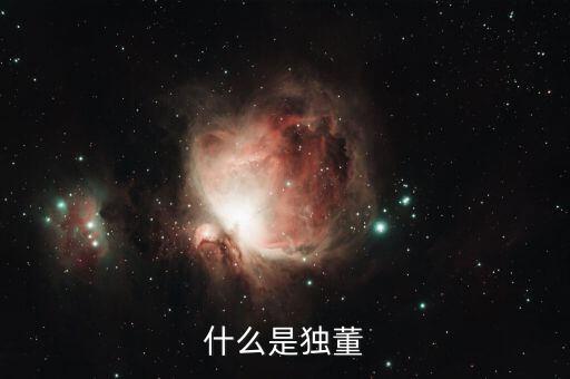 為什么董建華獨董，我國上市公司的獨立董事的來源主要有哪些